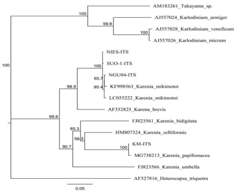 Phylogenetic analyses were performed using all partial ITS sequences with Geneious Tree Builder as implemented in Geneious prime 2019