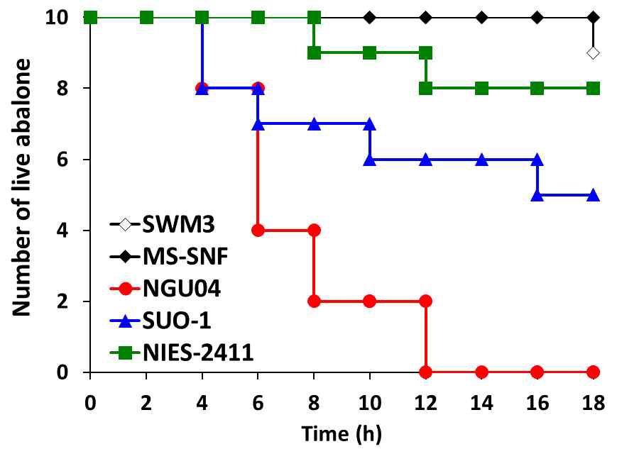 Effects of the NGU04 strain of K. mikimotoi on the survival of juvenile abalone (n=10), N. gigantea (A) and the hybrid (B). The survival of abalone in each test group was examined following exposure to NGU04 at a cell density of 1 × 104cells mL-1(red circle), 2 × 104cells mL-1(blue triangle), or MS-SNF medium alone as a control (black diamond)