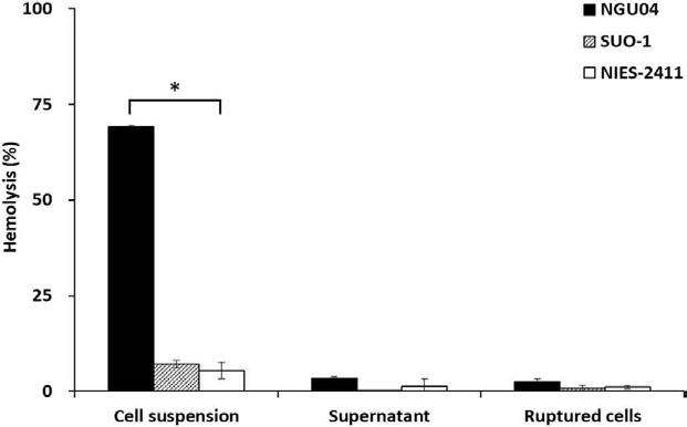 Haemolytic activities of the intact cell suspension at a cell density of 2 × 104 cells mL−1, the cell-free culture supernatant, and the ruptured cell suspension prepared from the same cell suspension of the NGU04 (■), SUO-1 (▧), and NIES-2411 (□) strains of K. mikimotoi. Each sample was mixed with rabbit erythrocytes and incubated for 3 h at 26 ℃ under illumination from a fluorescent lamp (200 μmol m−2 s−1). Each point represents the mean ± standard deviation of triplicate measurements, and the asterisks indicate a significant difference (p < .05) from the values of other strains