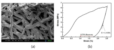 (a) SEM image and (b) compressive strain-stress curve of porous 77Ti-18Nb-5Mo alloy