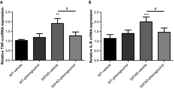 5XFAD 마우스에 phloroglucinol 100mg/Kg을 2달간 경구투여 후 뇌 해마부위에서 TNF-α cytokine의 mRNA 발현의 감소