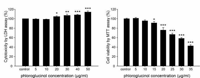 해마 신경세포주인 HT-22 cell line에서 Aβ에 의한 phloroglucinol 15~50 μg/ml 처리에 의한 신경세포 독성 완화 효과