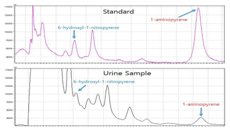 1-Aminopyrene과 6-hydroxy-1-nitropyrene의 크로마토그램