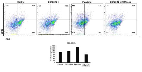 EGFL8의 처리에 따른 마우스T세포의 CD8 및 CD69 분자의 발현을 확인한 결과