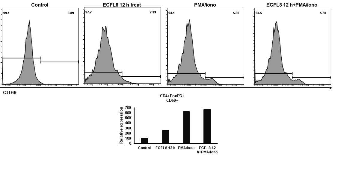 EGFL8의 처리에 따른 마우스T세포의 CD4, FoxP3 및 CD69 분자의 발현을 확인한 결과