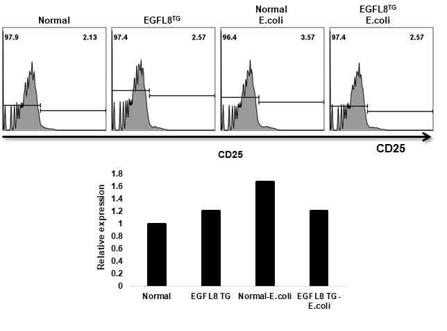 대장염이 유도된 정상마우스 및 EGFL8 형질전환 마우스 T세포에서 CD25의 발현 분석 결과