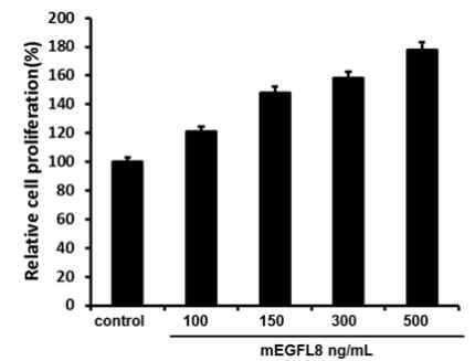 EGFL8 단백질의 농도에 따른 2차원 배양된 EL4 세포의 생존/증식능 비교 결과
