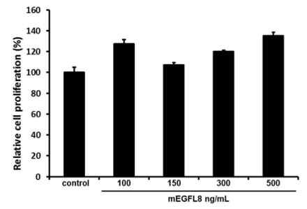EGFL8 단백질의 농도에 따른 3차원 배양된 EL4세포의 생존/증식능 비교 결과