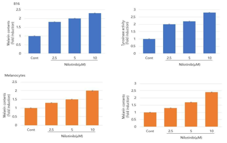 Melanogenic effects of nilotinib in B16 melanoma cells or normal human melanocytes