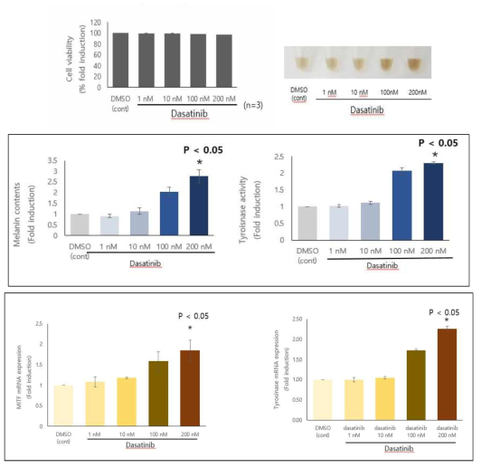 Melanogenic effects of dasatinib in B16 melanoma cells