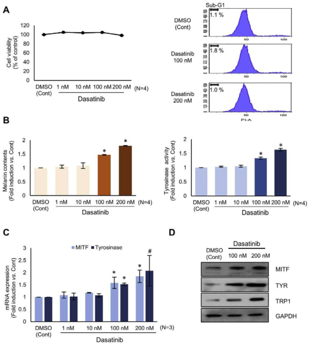 Dasatinib induces the melanogenesis of normal human melanocytes at subtoxic concentrations. (A) Normal human melanocytes were treated with the indicated concentrations of dasatinib for five days and the cell viability was analyzed by an MTT assay (left panel) and by a FACS analysis (right panel). Percentages indicate the sub-G1 fraction. The pigmentation of the cells was analyzed by measuring the melanin content and the tyrosinase activity (B). (C) The mRNA of MITF and tyrosinase were analyzed by real time RT-PCR. (D) The protein expressions of MITF, tyrosinase and TRP-1 were analyzed by western blotting. Data are presented as the mean ±SD (*p < 0.01 vs. control, #p < 0.05 vs. control)