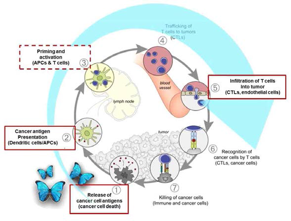 Butterfly effect awaken the host's immune system against cancer를 나타낸 Cancer immunity cycle