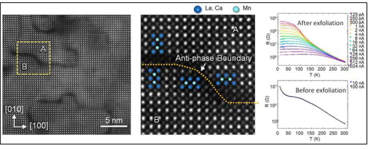 La0.7Ca0.3MnO3 박막의 박리화로 인한 역위상 경계의 생성.터널링 수송성이 거시적 전도성에 발현