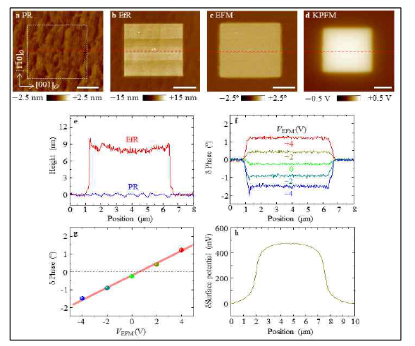 대전된 AFM 탐침을 이용하여 일렉트릿 형성. 표면의 형상, EFM, KPFM 복합적 측정을 통해 양의 전하 축적 확인. 표면 전하는 400 nC/cm2