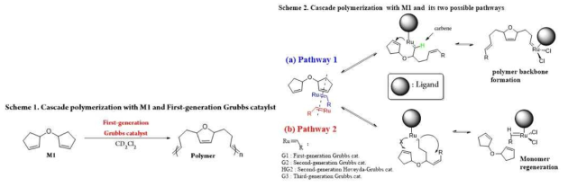 Cascade polymerization에서 촉매의 선택도에 따른 중합 효율 결정 연구