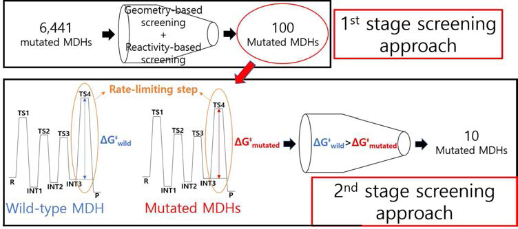 Wild-type biocatalyst (MDH, FDH, etc.)보다 우수한 활성을 지니는 돌연변이 후보군을 선별하기 위한 Two-stage screening approach의 개념도
