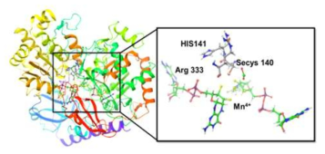 Modelled enzyme substrate complex (FDH-CO2)