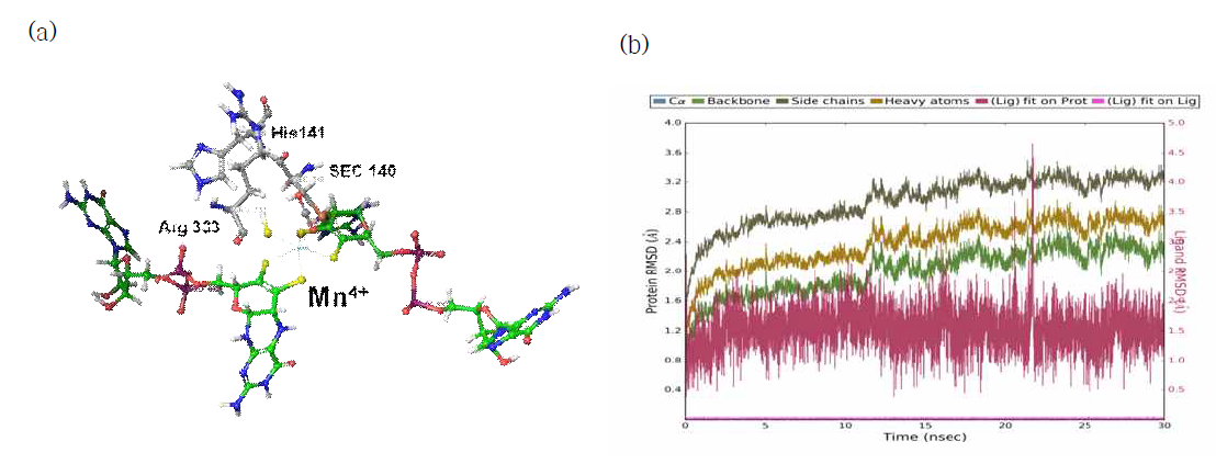 (a) Optimized reactant (FDH-CO2). (b) Root mean squared deviation (RMSD) plot of FDH-CO2 obtained through MD simulations for 30 ns