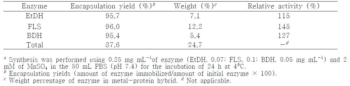 Immobilization of enzymes as a multienzyme hybrid system.a