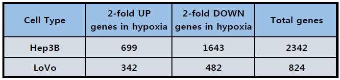 선행연구결과. Hep3B와 LoVo 세포의 24시간 저산소(1% O2) 노출 후 Affymetrix microarray 결과로, 저산소에서 발현이 감소되는 유전자가 더 많다는 것을 증명함