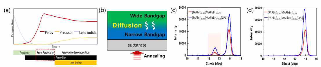 (a) 페로브스카이트 할라이드의 열처리 시간에 따른 결정화 거동, (b)후 확산 공정 모식도, (FAPbI3)0.95(MAPbBr3)0.05 단일 조성과 CPC (CsPbCl3)를 첨가한 조성을 각각 (c) 10분,(d) 3분 열처리한 박막의 XRD