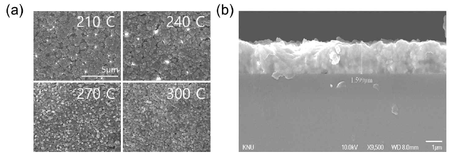 (a) 합성 온도에 따른 Cs2TeI6 박막의 SEM 사진, (b) 240℃에서 열처리한 Cs2TeI6 박막의 단면도
