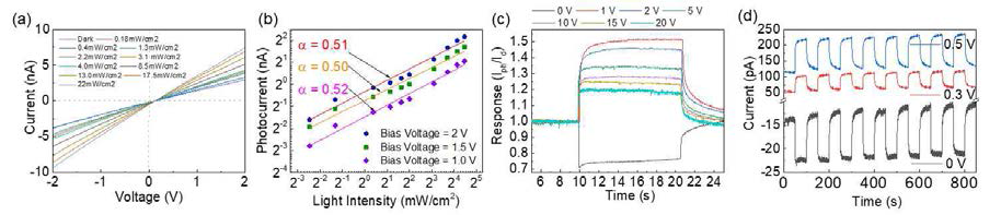 Photoconductor type MASnBr3 박막 (a) 광세기에 따른 I-V curve (b) 광전류 응답 특성 (c) bias voltage에 따른 응답 특성 (d) bias voltage에 따른 modulation 변화