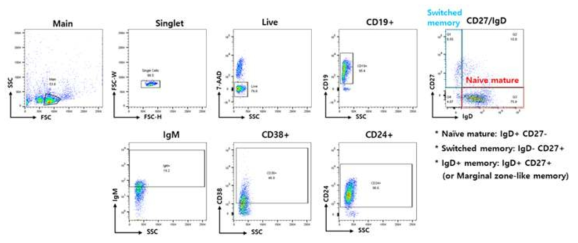 B cell 표면 단백질 및 subtype 확인을 위한 유세포 분석 strategy