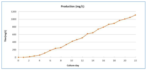 14L급 배양 생산량 분석 결과