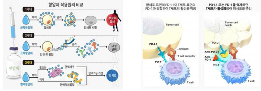 항암치료제의 세대별 구분(좌), 암 면역관문요법 원리(우)