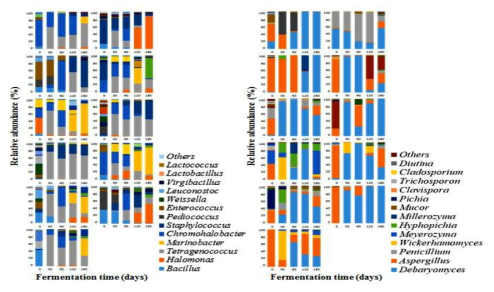 11개 간장의 발효기간에 따른 세균(좌), 곰팡이/효모(우) 군집변화
