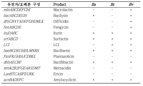 Bacillus amyloliquefaciens (Ba), B. siamensis (Bs), B. velezensis (Bv) 균주의 항균관련 유전자/오페론 모음