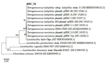 간장에서 발견된 histidine decarboxylase 유전자의 계통수