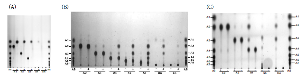 Lb. shenzhenensis 유래 arabinan 분해효소 유전자의 기질 분해특성 (A) LbshAF-C (B) LbshABN-A (C) LbshABN-B