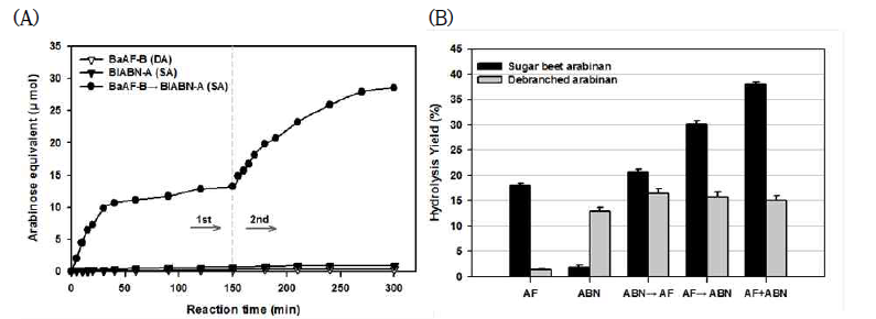 BvAF-B와 BlABN-A를 이용한 arabinan 가수분해의 시너지 효과