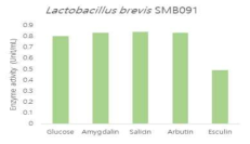 Plant glycoside 종류에 따른 Lb. brevis SMB091 균주의 beta-glucosidase 활성