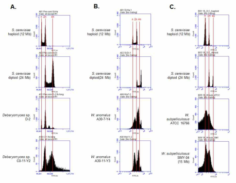 메주/된장 유래 Debaryomyces sp. D-2, C0-11-Y2 균주(A), W. anomalus A30-7-Y4, A30-11-Y3 균주(B), W. subpelliculosus SMY-04, type strain ATCC 16766 균주(C)의 FACS 실험을 통한 배수체 분석 결과
