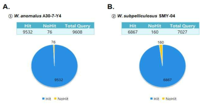 W. anomalus A30-7-Y4(A)와 W. subpelliculosus SMY-04(B) 균주의 transcriptome data 기반 대략적인 유전자 주석화 결과