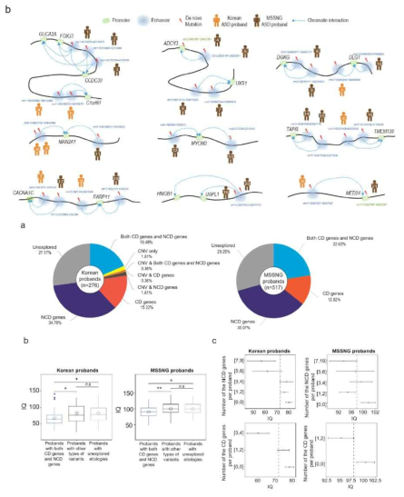 Chromatic interaction을 통한 noncoding DNMs과 NCD gene의 coupling