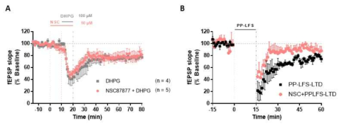 SHP2 억제제에 의한 metabotrophic glutamtae 수용체 의존적 LTD의 감소. A. SHP2 억제제는 고농도의 DHPG로 유도된 LTD에 영향을 미치지 않음. B. SHP2 억제제에의해 PP-LFS로 유도된 LTD가 감소함