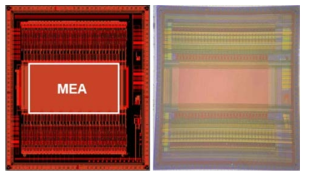 설계된 칩 레이아웃 (왼쪽) 및 제작된 칩 사진 (오른쪽)