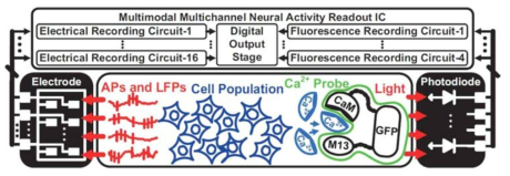 다중모드 다채널 신경활동 측정이 가능한 집적 회로