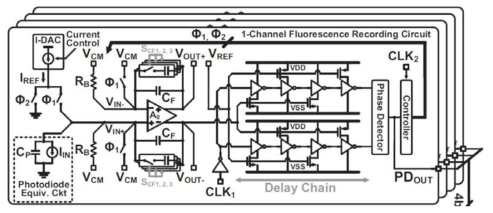 4채널 형광 신호 기록 회로 구조