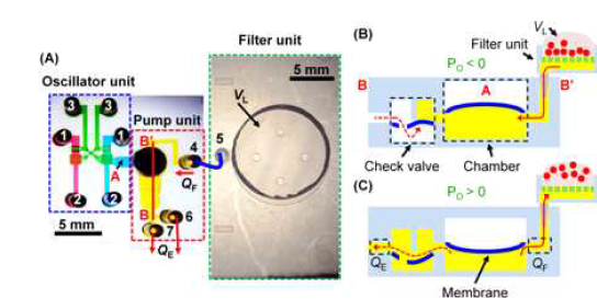 Water-head-driven microfluidic chip for pulsatile plasma filtration