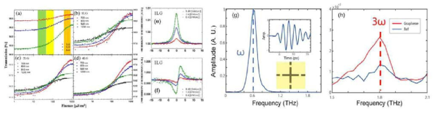 (a-d) 근적외선 대역에서의 그래핀의 비선형 투과 특성: (a) 800 nm에서 수행된 단일층, 이중층, 4중층 그래핀의 투과 특성 (b) 단일층 (c) 이중층 (d) 4중층 그래핀에서 측정된 비선형 투과 특성 (720 nm, 800 nm, 940 nm, 1230 nm), (e-f) 근적외선 대역에서의 그래핀의 Z-스캔 결과: (e) 오픈어퍼쳐 타입, (f) 클로즈 어퍼쳐 타입, (g) 메쉬필터를 사용한 좁은 대역의 THz 파, (h) 그래핀에서 발생된 3차 조화파