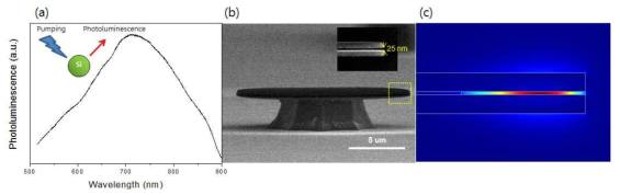 (a) SRSN내의 실리콘 나노클러스터의 광 발광 스펙트럼. (b) 제작된 공진기와 삽입된 25 nm 높이 나노갭의 전자현미경 사진. (c) 전산모사를 통해 나노 갭에 전기장의 집속 확인