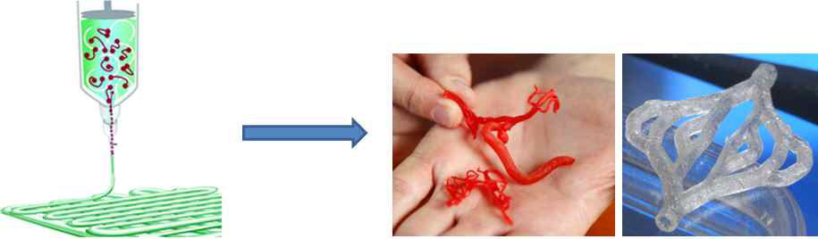 3D 프린팅 기술을 이용하여 혈관 구조체 제작