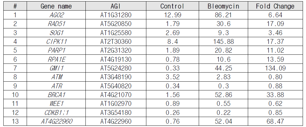 Bleomycin 처리된 애기장대에서 RNA-seq 데이터를 통해 확인된 DDR marker 유전자의 발현 변화