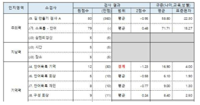 일반 대조군 참가자의 지필 신경심리평가 결과 예시