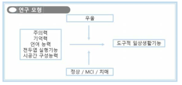 인지기능 감소에 따른 도구적 일상생활 기능 손상의 확인을 위한 연구 모형